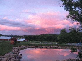 party_view_280.gif